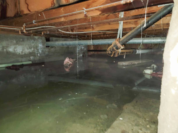 Carpet water damage restoration in Monticello, NY