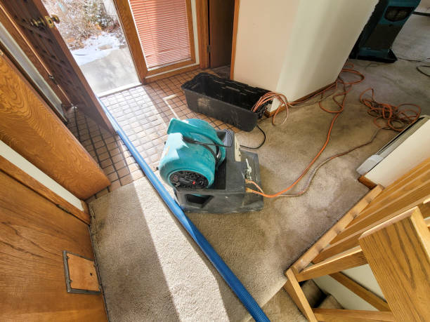 Best Water damage restoration specialists  in Monticello, NY