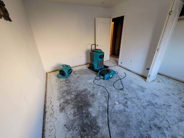 Best Flood restoration services  in Monticello, NY