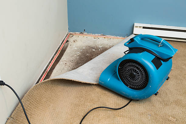 Best Flood damage cleanup  in Monticello, NY